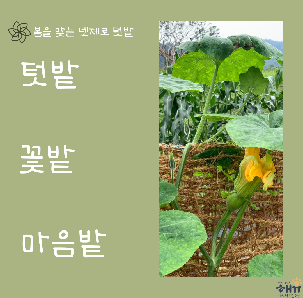 2023 봄을 맞는 넷제로 텃밭 참가자 모집