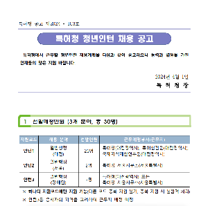 [특허청] 2024년 상반기 특허청 청년인턴 채용 공고